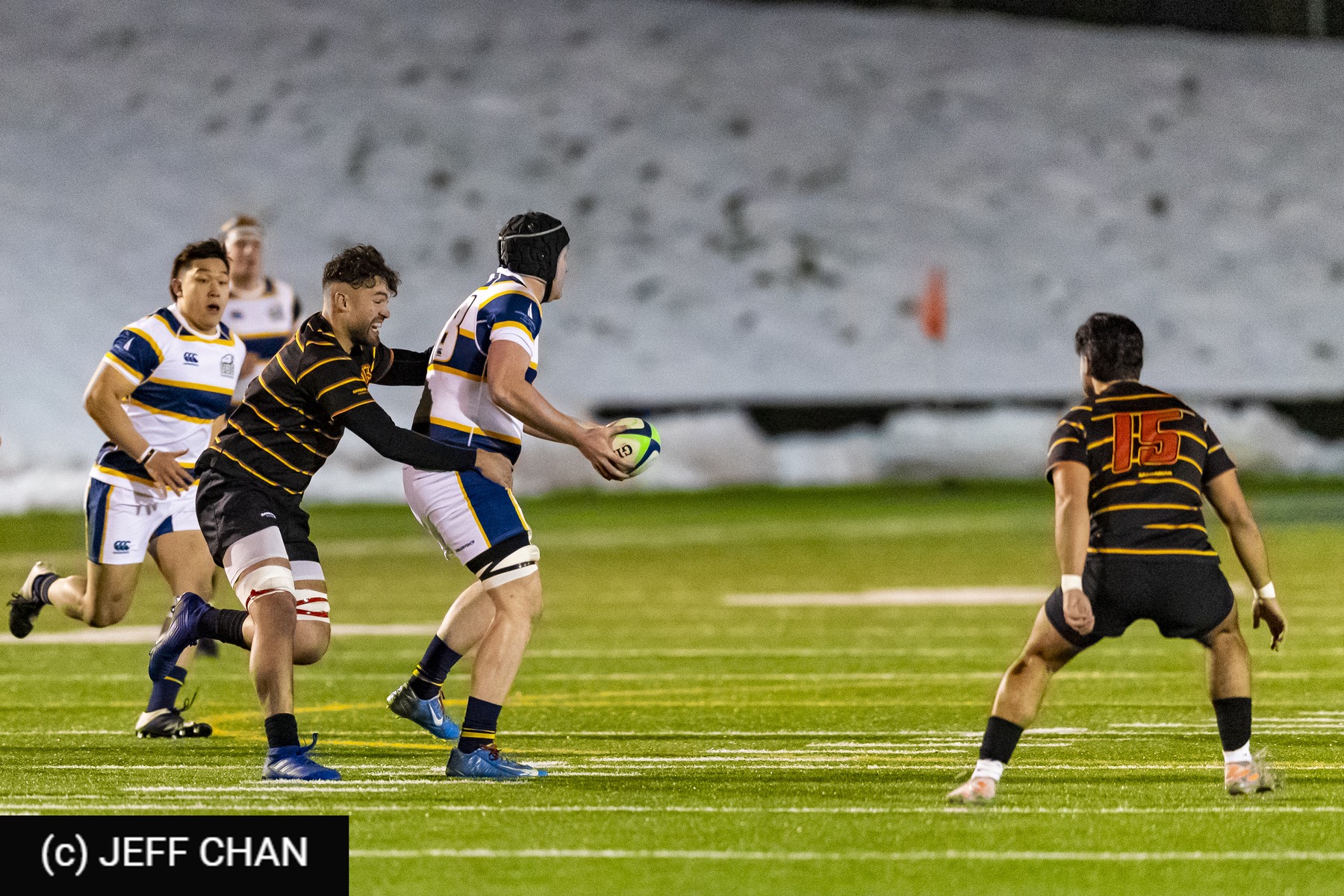 Raymond CHOU - University of British Columbia - University of Calgary ...